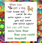 (image for) When you get a new Dog